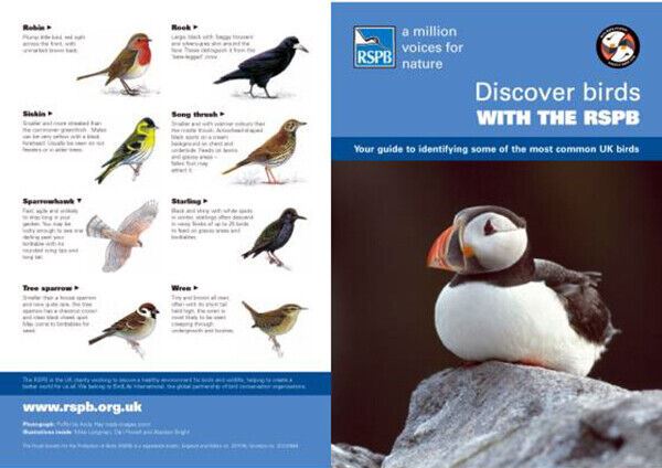 RSPB 8 x 32 Puffin Black Mid Size Binoculars #4700 (UK Stock) BNIB Royal Society