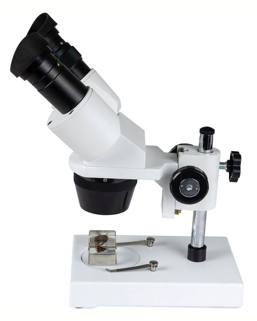 Celestron Labs S10-30N Stereo 10-30x Magnification Microscope  #44138 (UK)  BNIB