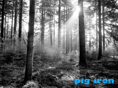 Pig Iron 67mm Yellow Y-2 Pro Filter Contrast Booster Camera Lens Circular BW(UK)