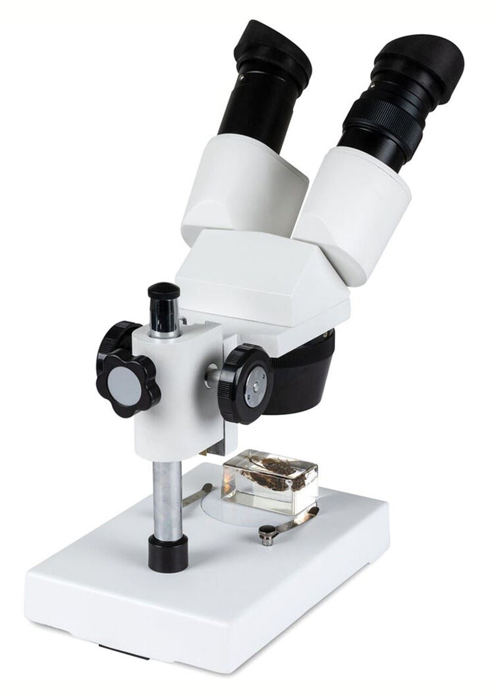 Celestron Labs S10-30N Stereo 10-30x Magnification Microscope  #44138 (UK)  BNIB