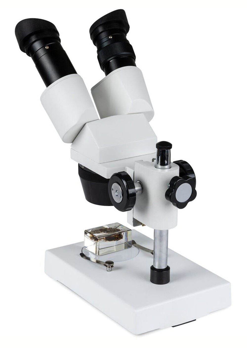 Celestron Labs S10-30N Stereo 10-30x Magnification Microscope  #44138 (UK)  BNIB