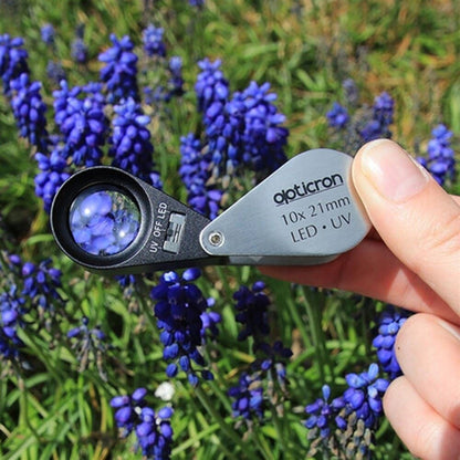 Opticron 10x Magnification 21mm Metal Jewellers Eye Loupe with LED & UV   #57107