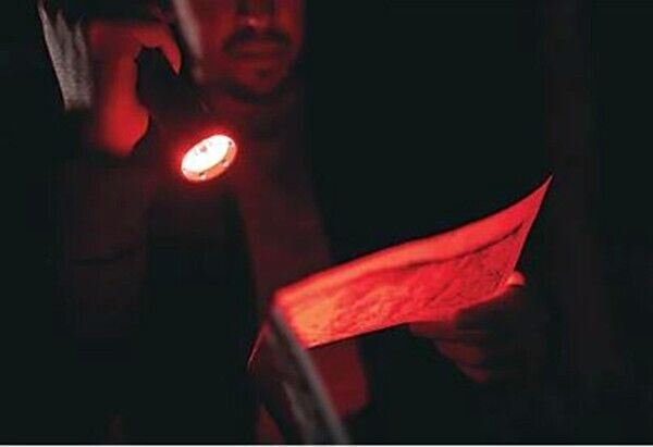 Nebo Franklin Pivot RC 300 Lumen Rechargeable Work Light Flashlight Torch   (UK)