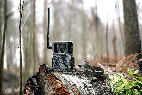 Wildlife Trail Nature Camera 4G enabled Cellular SMS 10 Meg Hik Micro M15   (UK)