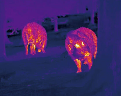 NocPix LUMI P13 Handheld Thermal Monocular Kit 13mm 12um 256x192  20mK NETD (UK)