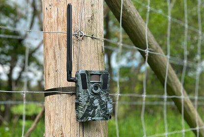 Wildlife Trail Nature Camera 4G enabled Cellular SMS 10 Meg Hik Micro M15   (UK)