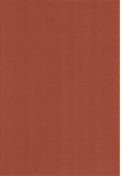 Pig Iron Self-Adhesive Camera Leatherette Sheet A4 30 x 20cm in TAN  (UK)   BNIP