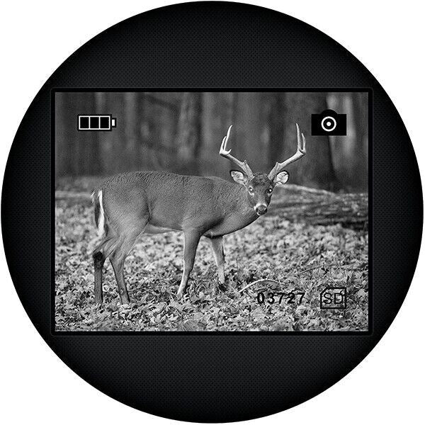 Hawke Nite-Eye NV2000 5 x 40 Digital Night Vision KIT + records Photos/ Video UK